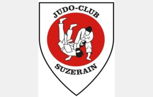 TOURNOI DE LA SUZE