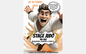 Stage Judo